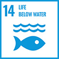 Conserve and sustainably use the oceans, seas and marine resources