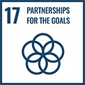 Revitalize the global partnership for sustainable development