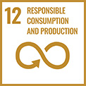 Ensure sustainable consumption and production patterns