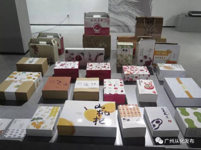 Appearance of the Finished Packaging Design of “One Village One Product”